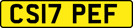 CS17PEF