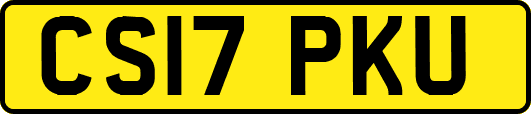 CS17PKU