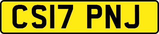 CS17PNJ