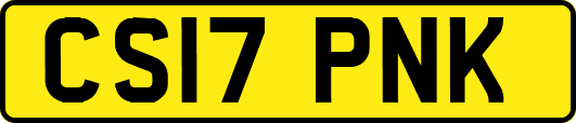 CS17PNK