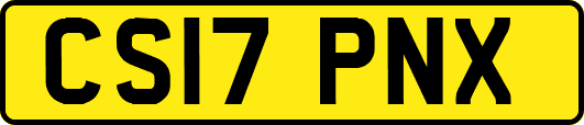 CS17PNX