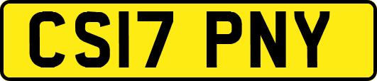 CS17PNY