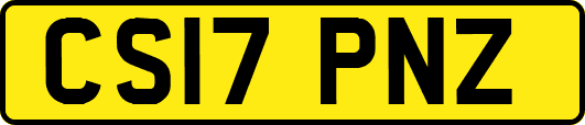 CS17PNZ