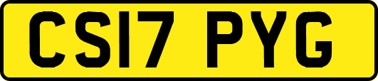 CS17PYG