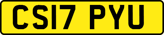 CS17PYU