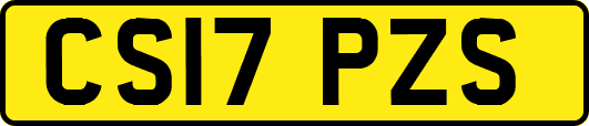 CS17PZS