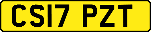 CS17PZT