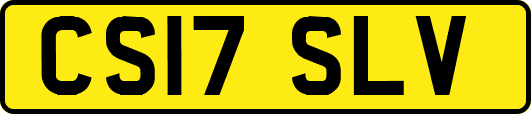 CS17SLV