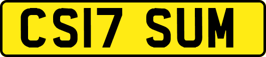 CS17SUM