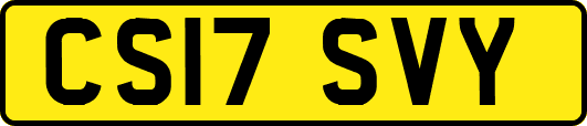 CS17SVY