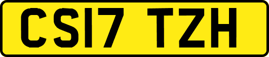 CS17TZH