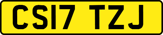 CS17TZJ