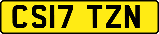 CS17TZN