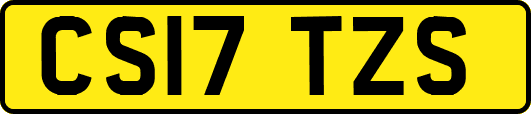 CS17TZS