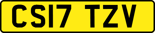 CS17TZV