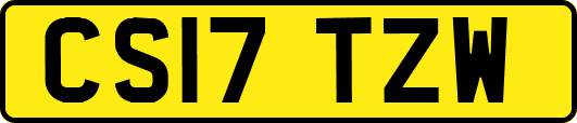 CS17TZW