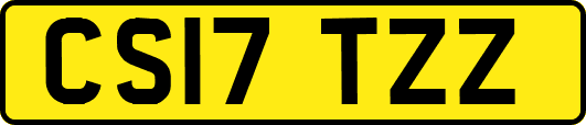 CS17TZZ