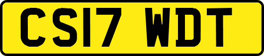 CS17WDT