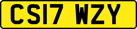 CS17WZY