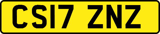 CS17ZNZ