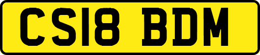 CS18BDM