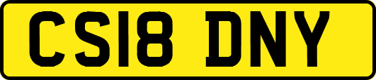CS18DNY
