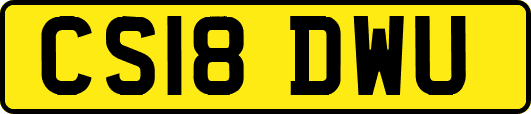 CS18DWU