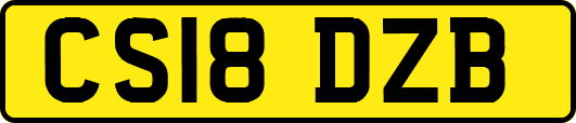 CS18DZB