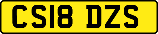CS18DZS