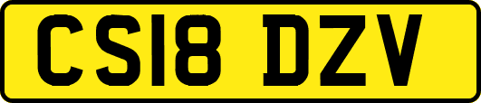 CS18DZV