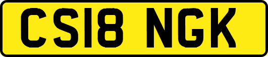 CS18NGK