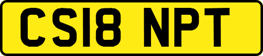 CS18NPT