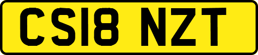 CS18NZT