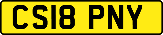 CS18PNY