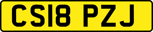 CS18PZJ