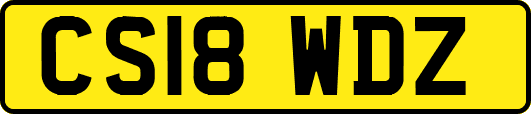 CS18WDZ