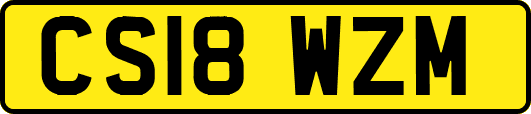 CS18WZM