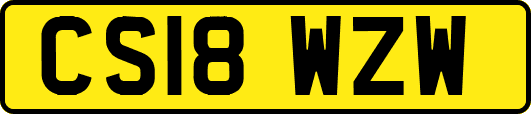 CS18WZW