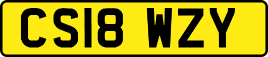 CS18WZY