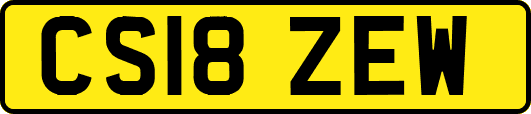 CS18ZEW