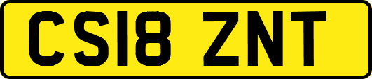 CS18ZNT
