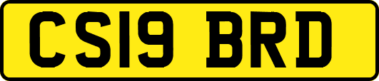 CS19BRD