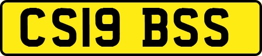 CS19BSS