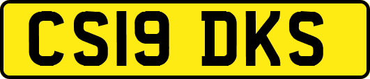 CS19DKS