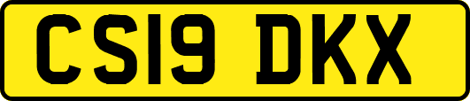 CS19DKX