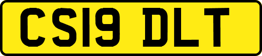 CS19DLT