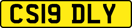 CS19DLY
