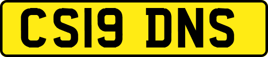 CS19DNS