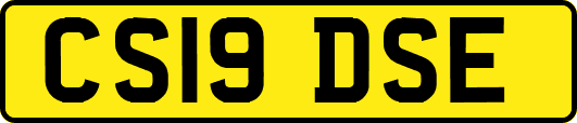 CS19DSE