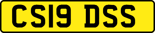 CS19DSS